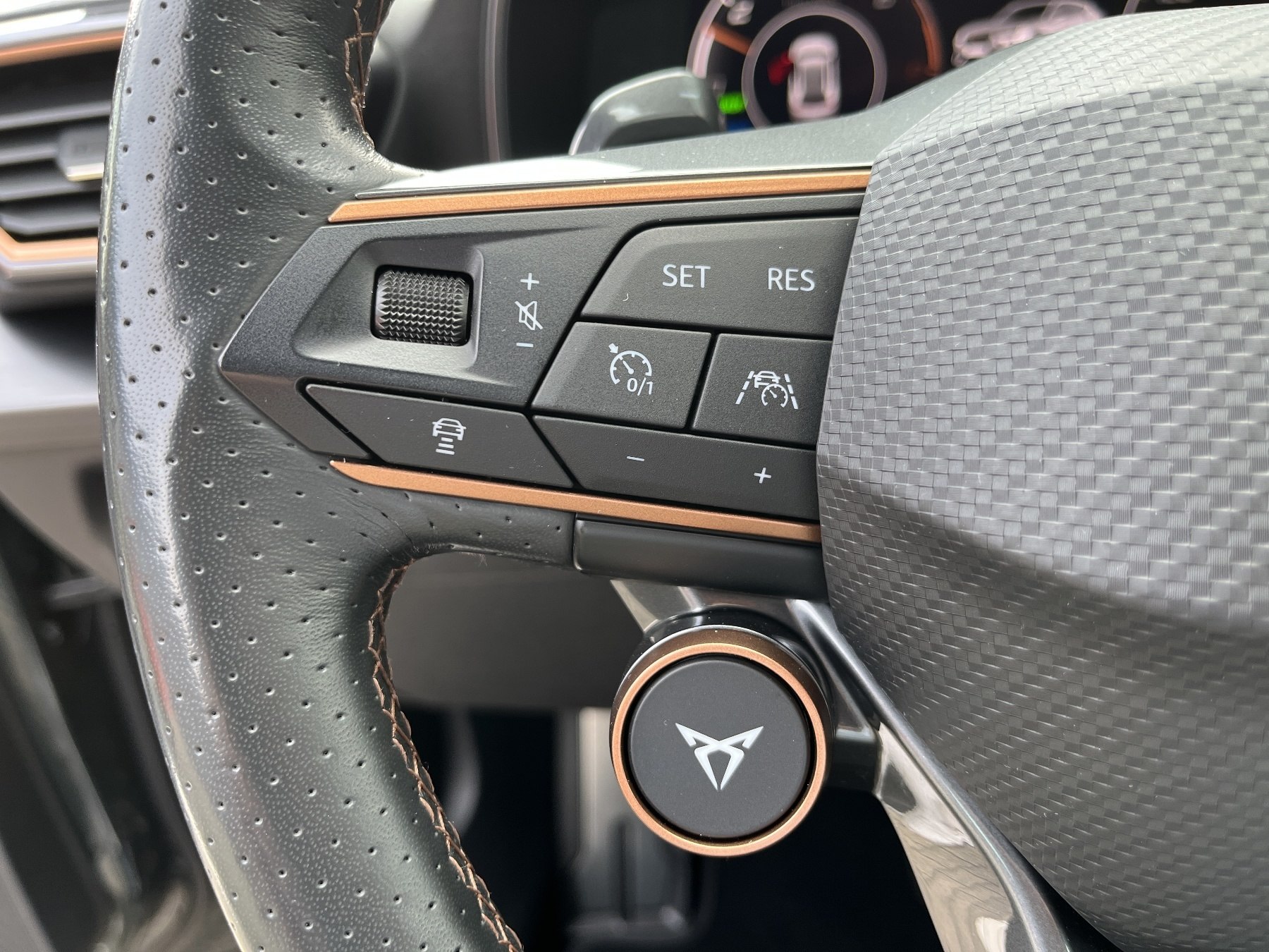 CUPRA Formentor 1.4 VZ E-HYBRID Pano-Dach, AHK CUPRA Formentor 1.4 VZ E-HYBRID Pano-Dach, AHK