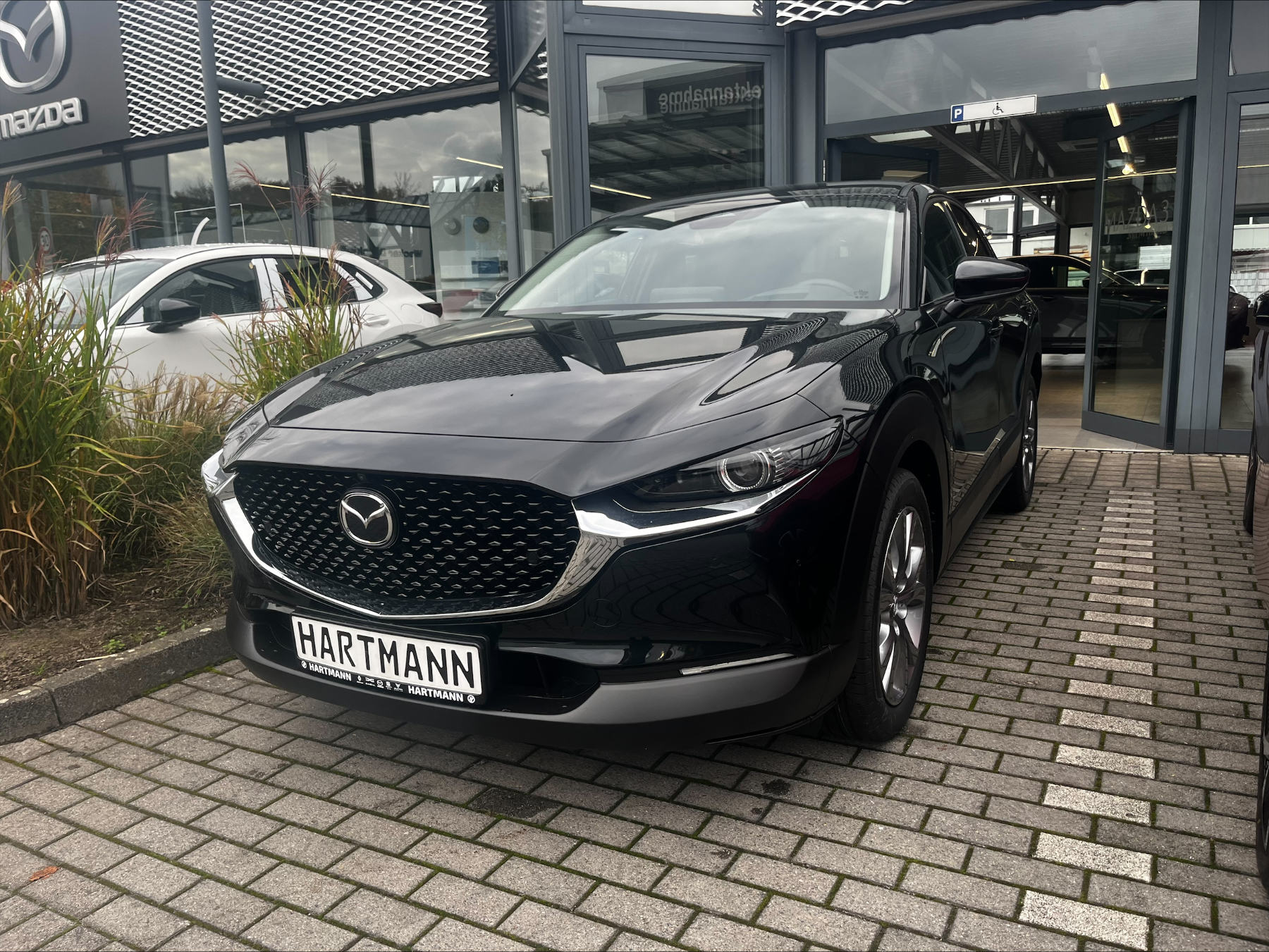 MAZDA CX-30 2.5L e-SKYACTIV G 140ps Exclusive-line AHK MAZDA CX-30 2.5L e-SKYACTIV G 140ps Exclusive-line AHK