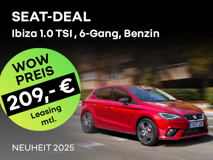 Seat Ibiza Road Edition 